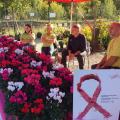 Vente de Fleurs Solidaires et de Rubans Rose le Samedi 14 Octobre 2017 "Portes Ouvertes Braconnier Paysages"