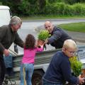 Distribution des plantes 