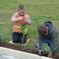 Plantations avec la classe pour l’inclusion scolaire (CLIS) de l’école Jacques Brel