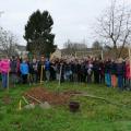 Plantation de l'arbre (pommier Reine des Reinettes)