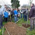 Plantation de l'arbre (pommier Reine des Reinettes)