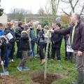 Plantation de l'arbre (pommier Reine des Reinettes)