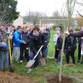 Plantation de l'arbre (pommier Reine des Reinettes)