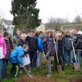 Plantation de l'arbre (pommier Reine des Reinettes)