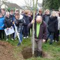 Plantation de l'arbre (pommier Reine des Reinettes)