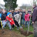 Plantation de l'arbre (pommier Reine des Reinettes)