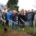 Plantation de l'arbre (pommier Reine des Reinettes)