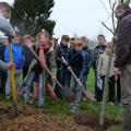 Plantation de l'arbre (pommier Reine des Reinettes)