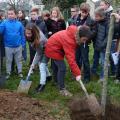 Plantation de l'arbre (pommier Reine des Reinettes)