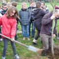 Plantation de l'arbre (pommier Reine des Reinettes)