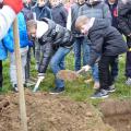 Plantation de l'arbre (pommier Reine des Reinettes)