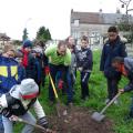 Plantation de l'arbre (pommier Reine des Reinettes)