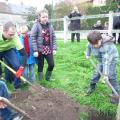 Plantation de l'arbre (pommier Reine des Reinettes)