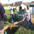 Plantation de l'arbre (pommier Reine des Reinettes)