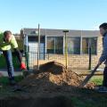 Plantation de l'arbre (pommier Reine des Reinettes)