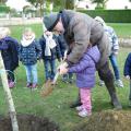 Plantation de l'arbre (pommier Elstar)