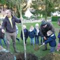 Plantation de l'arbre (pommier Elstar)