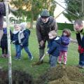 Plantation de l'arbre (pommier Elstar)