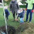 Plantation de l'arbre (pommier Elstar)