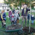 Plantation de l'arbre (pommier Elstar)