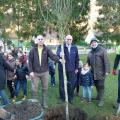 Plantation de l'arbre (pommier Elstar)