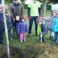 Plantation de l'arbre (pommier Elstar)