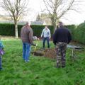 Plantation de l'arbre (pommier Golden)