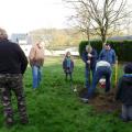 Plantation de l'arbre (pommier Golden)