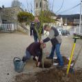 Plantation de l'arbre (pommier Reine des Reinettes)