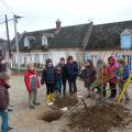 Plantation de l'arbre (pommier Reine des Reinettes)