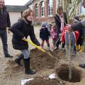 Plantation de l'arbre (pommier Reine des Reinettes)