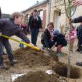 Plantation de l'arbre (pommier Reine des Reinettes)