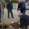 Plantation de l'arbre (pommier Reine des Reinettes)