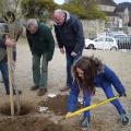 Plantation de l'arbre (pommier Reine des Reinettes)