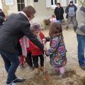 Plantation de l'arbre (pommier Reine des Reinettes)