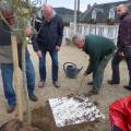 Plantation de l'arbre (pommier Reine des Reinettes)