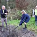 Plantation de l'arbre (Chataîgnier)