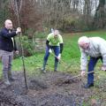 Plantation de l'arbre (Chataîgnier)