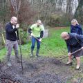 Plantation de l'arbre (Chataîgnier)