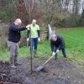 Plantation de l'arbre (Chataîgnier)