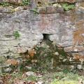 Restauration du Lavoir de Montarcène