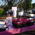 Vente de Fleurs Solidaires et de Rubans Rose le Dimanche 15 octobre 2017 "Brocante d'Anizy-le-Château"