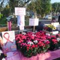 Vente de Fleurs Solidaires et de Rubans Rose le Dimanche 15 octobre 2017 "Brocante d'Anizy-le-Château"