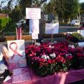 Vente de Fleurs Solidaires et de Rubans Rose le Dimanche 15 octobre 2017 "Brocante d'Anizy-le-Château"