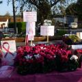 Vente de Fleurs Solidaires et de Rubans Rose le Dimanche 15 octobre 2017 "Brocante d'Anizy-le-Château"